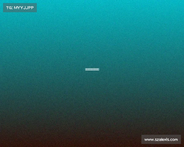 勇士和热火赛事比分